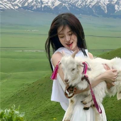 好奇的乔治3:回到丛林